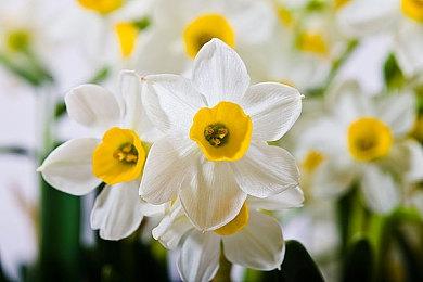 育碧已取消《全境封锁：中心地带》实机视频泄露